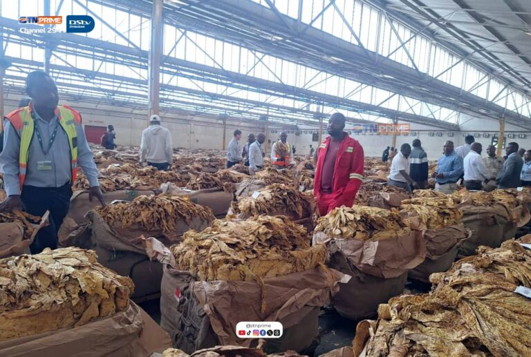 Tobacco sales surpass US$673m